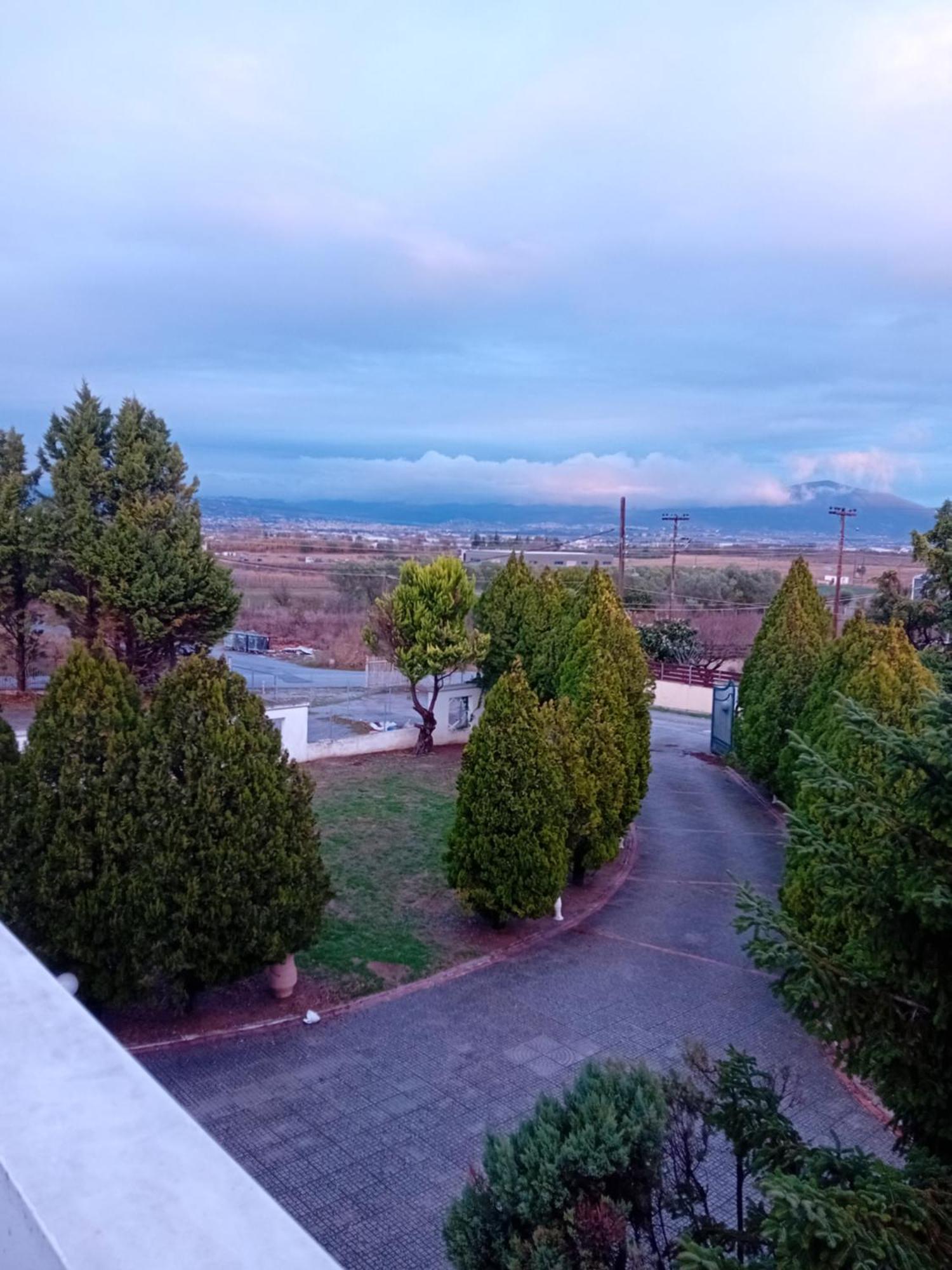 Πολυτελησ Βιλα 8 - 10 Ατομων Στην Περιοχη Αεροδρομιου Θεσσαλονικησ Villa Livadaki  Exteriör bild